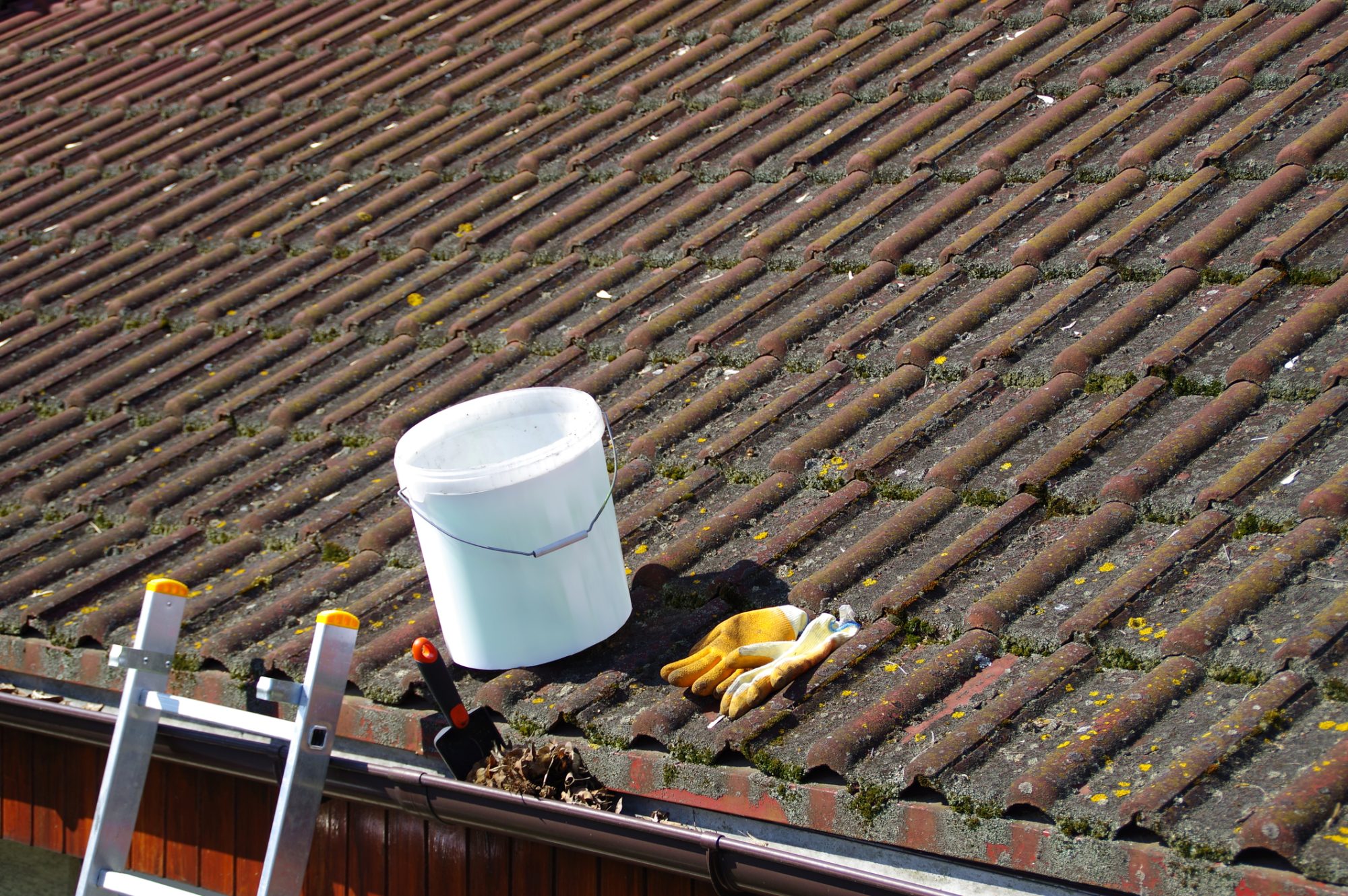 Dirty roof tiles with dense moss and gutter with leaves requiring cleaning, ladder ready to work